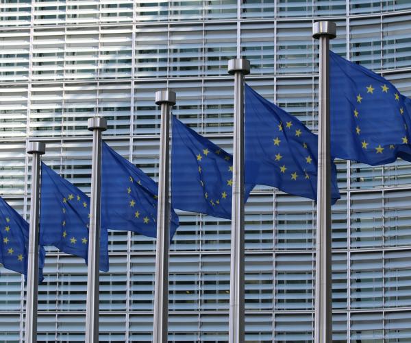 EU flags in front of building